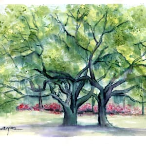 Brookgreen Oaks by Rebecca Zdybel