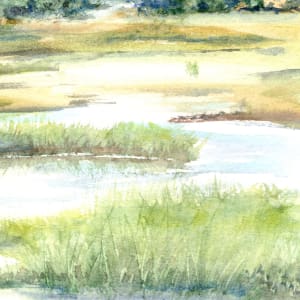 Mellow Marsh 2.5 by Rebecca Zdybel
