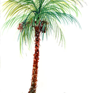 Pretty Little Palm with Coconuts & Dates by Rebecca Zdybel