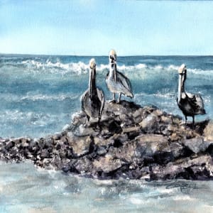 Pura Vida Pelicans by Rebecca Zdybel