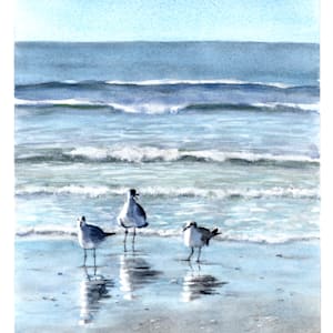 Seagulls on the Shore-3 by Rebecca Zdybel