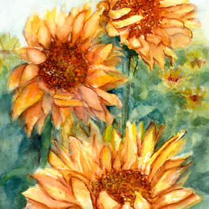 Windblown Sunflower Field 