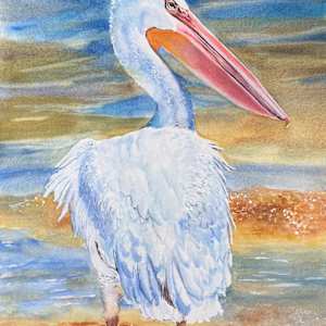 Tidal Pool Pelican by Rebecca Zdybel, Image 1.