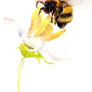 Bee on a White Flower by Rebecca Zdybel