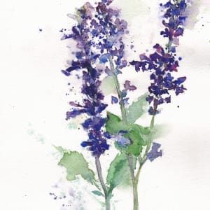 Loose Lavender by Rebecca Zdybel 
