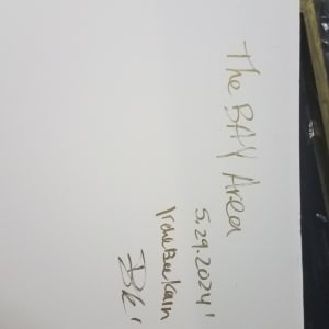 The Bay Area by Irene Bee Kain 