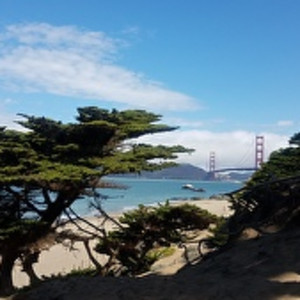 Golden Gate Summer 2019 by Irene Bee Kain