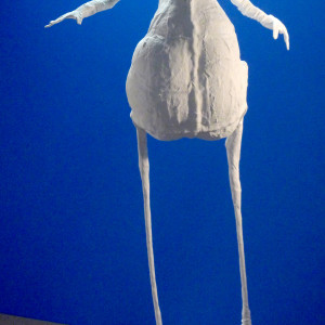 Ghost Bird by Chas Martin 