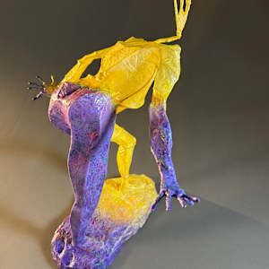 Transition by Chas Martin 