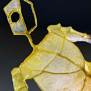 Transition by Chas Martin 