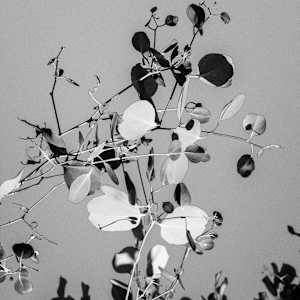 BALANCE by Laura Letchinger  Image: photo reference: Jim Newberry Photography