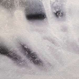 FROM THE ASHES by Laura Letchinger  Image: detail 1