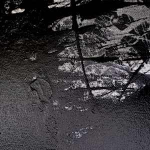 FROM THE ASHES by Laura Letchinger  Image: detail 2