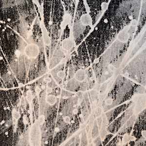 HAPPY TRAILS by Laura Letchinger  Image: detail 2