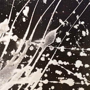 HAPPY TRAILS by Laura Letchinger  Image: detail 1