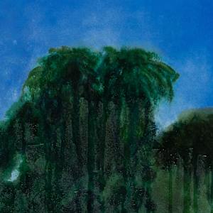 CANYON by Laura Letchinger 