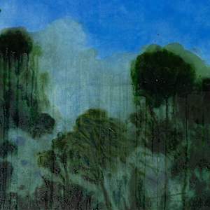 CANYON by Laura Letchinger 