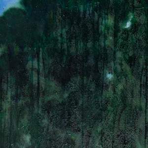 CANYON by Laura Letchinger 