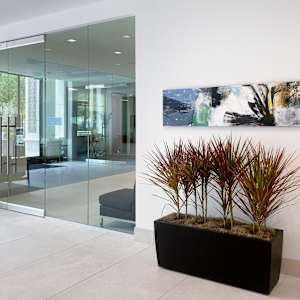 EARLY by Laura Letchinger  Image: corporate collection | Calabasas, CA