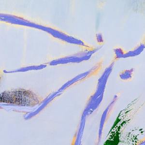 LIFE FORCE by Laura Letchinger 