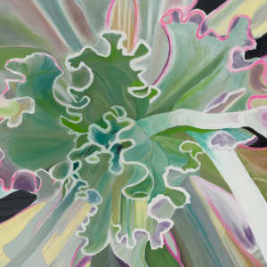 SUCCULENT 1 by Laura Letchinger  Image: detail 1