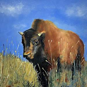 Martina's Spirit Animal by Judith Hutcheson