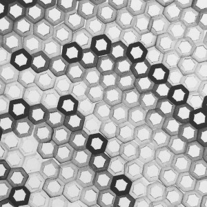 Hexagons 4 by Dana Piazza 