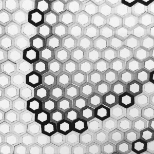 Hexagons 5 by Dana Piazza 