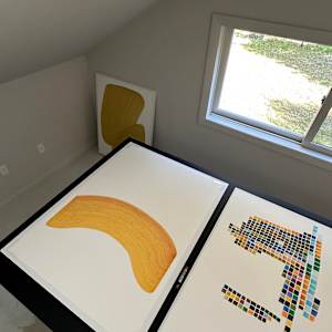 Lines 305 by Dana Piazza 