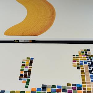 Lines 305 by Dana Piazza 