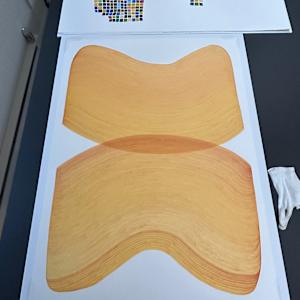 Lines 305 by Dana Piazza 