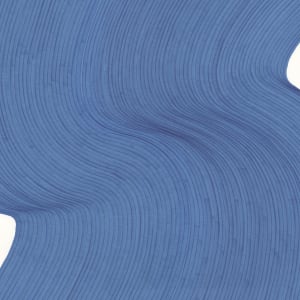 Lines 146 by Dana Piazza 
