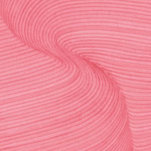 Lines 223 by Dana Piazza 