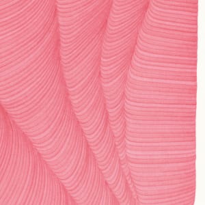 Lines 223 by Dana Piazza 