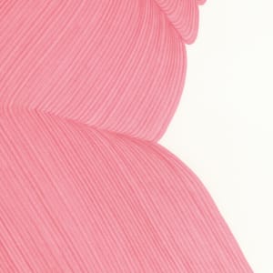 Lines 223 by Dana Piazza 