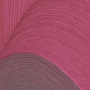 Lines 232 by Dana Piazza 
