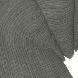 Lines 242 by Dana Piazza 