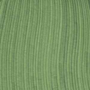 Lines 243 by Dana Piazza 