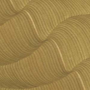 Lines 246 by Dana Piazza 