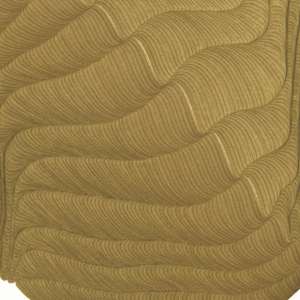 Lines 246 by Dana Piazza 