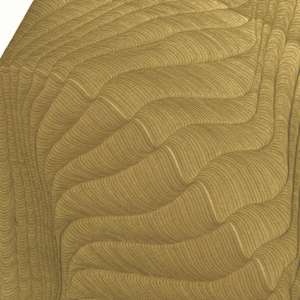 Lines 246 by Dana Piazza 