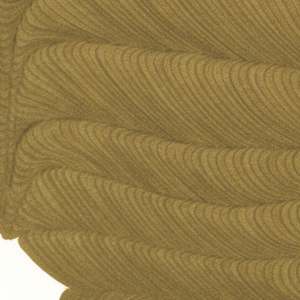 Lines 246 by Dana Piazza 