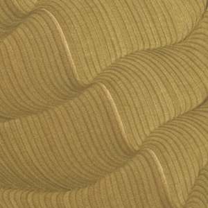 Lines 246 by Dana Piazza 