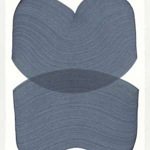 Lines 247 by Dana Piazza