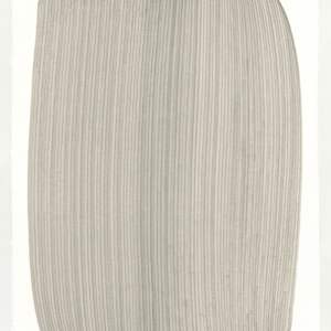 Lines 248 by Dana Piazza