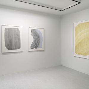 Lines 269 by Dana Piazza 