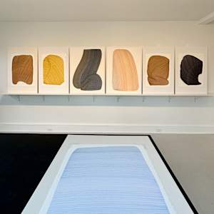 Lines 280 by Dana Piazza 