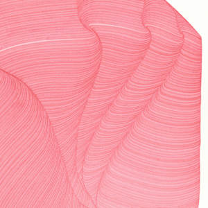 Lines 283 by Dana Piazza 