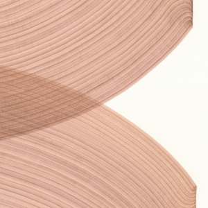 Lines 294 by Dana Piazza 