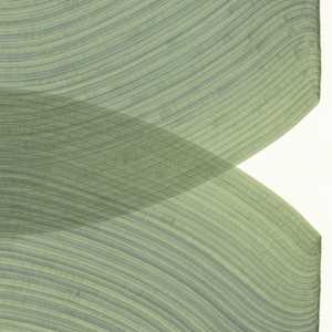 Lines 298 by Dana Piazza 